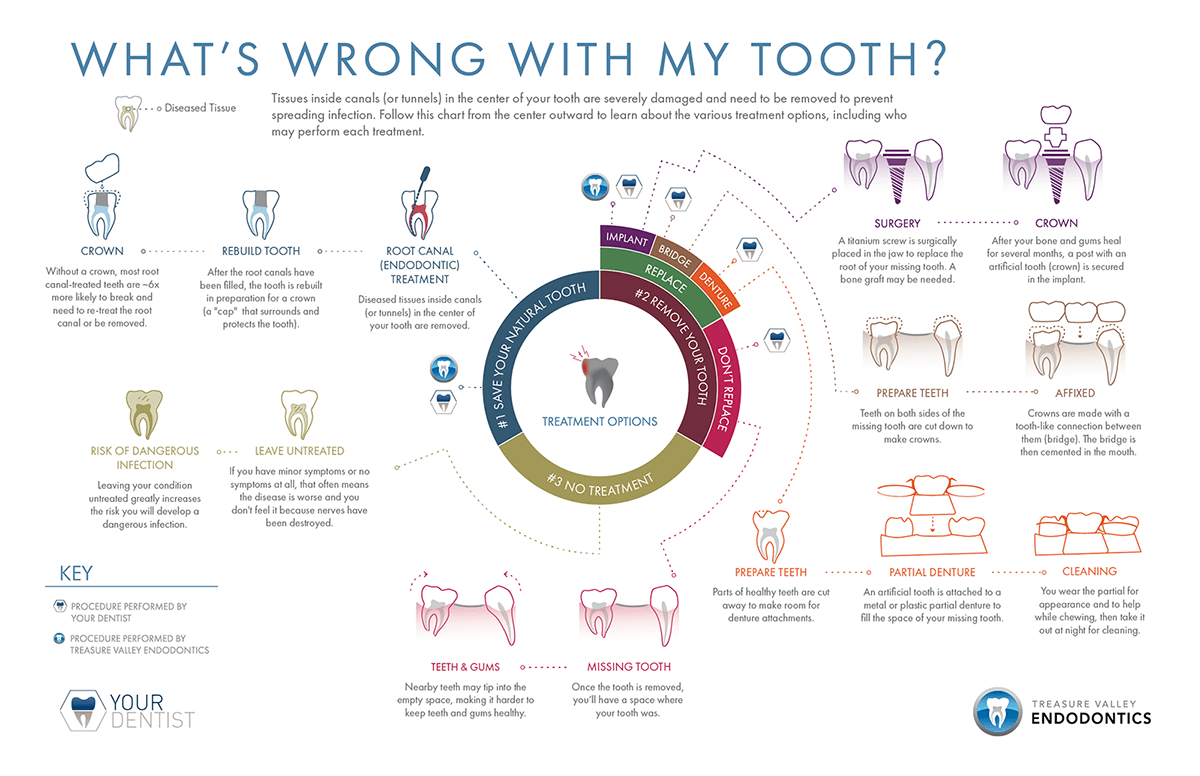 Infographic Front