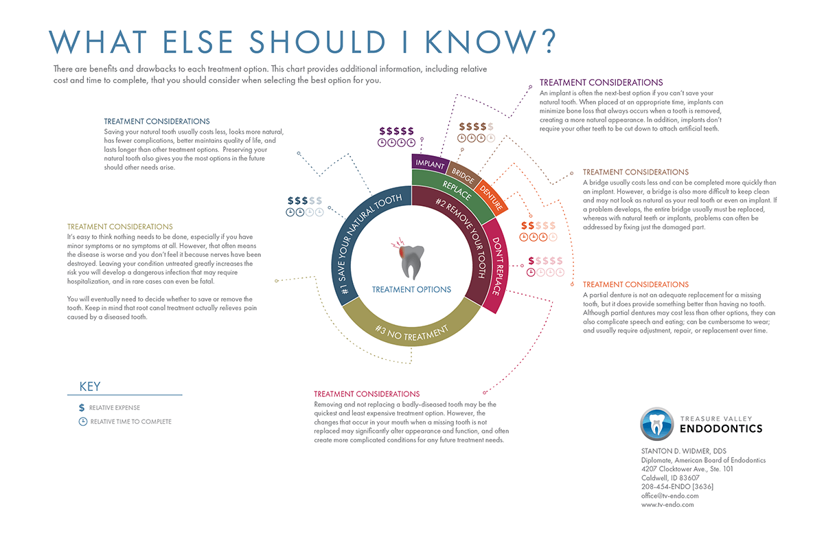 Infographic Back